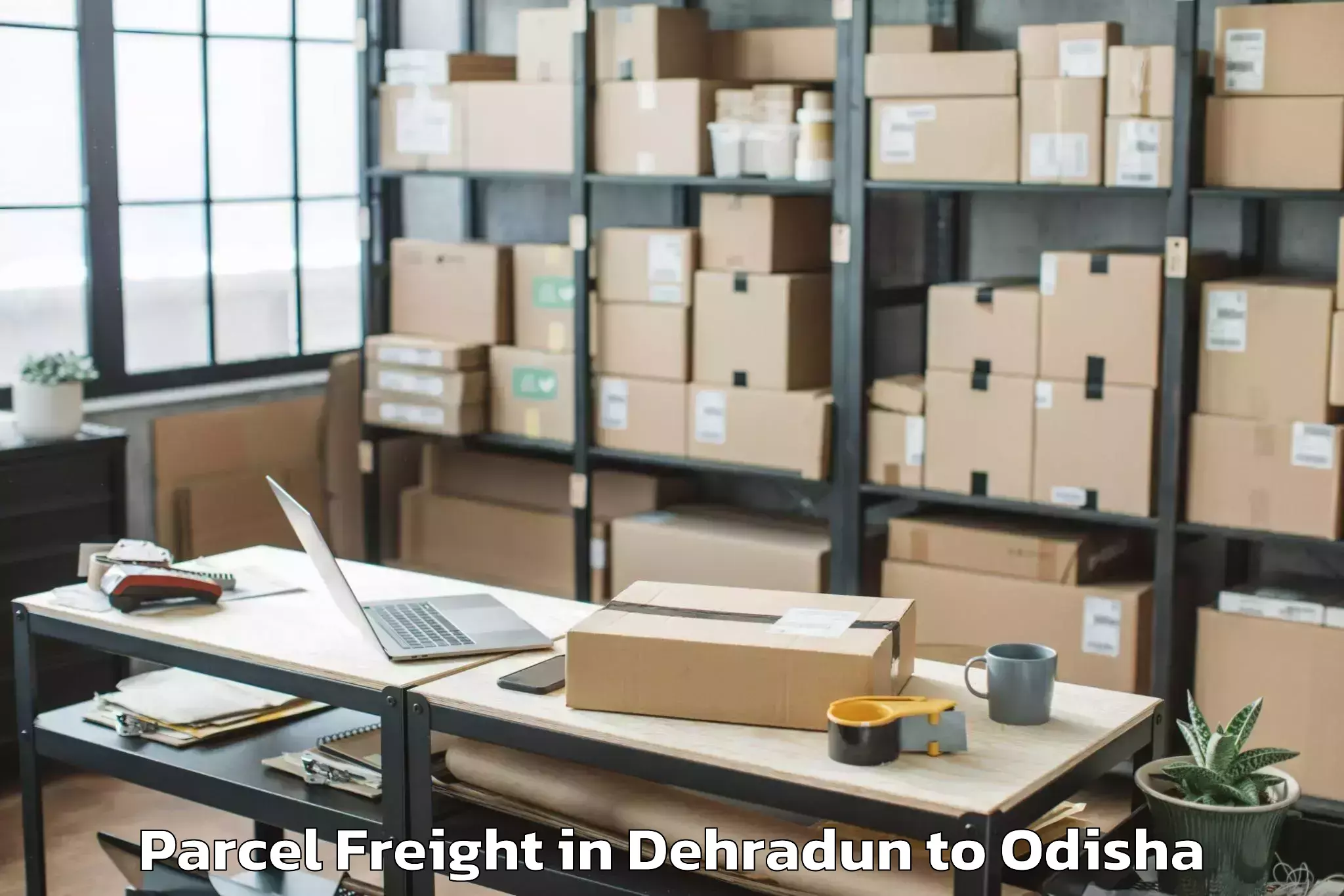 Book Your Dehradun to Central University Of Odisha K Parcel Freight Today